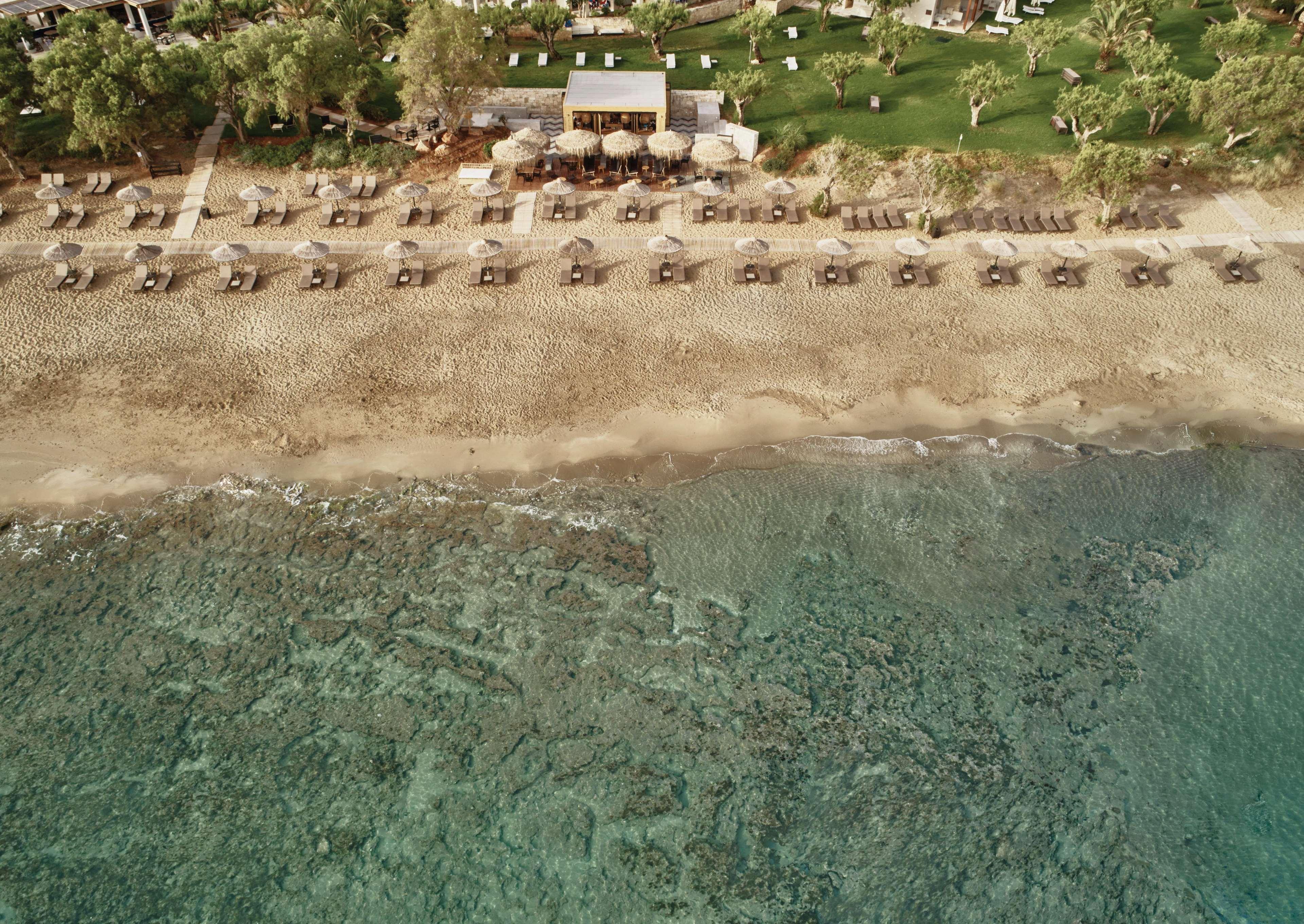 Phaea Cretan Malia, A Member Of Design Hotels Dış mekan fotoğraf
