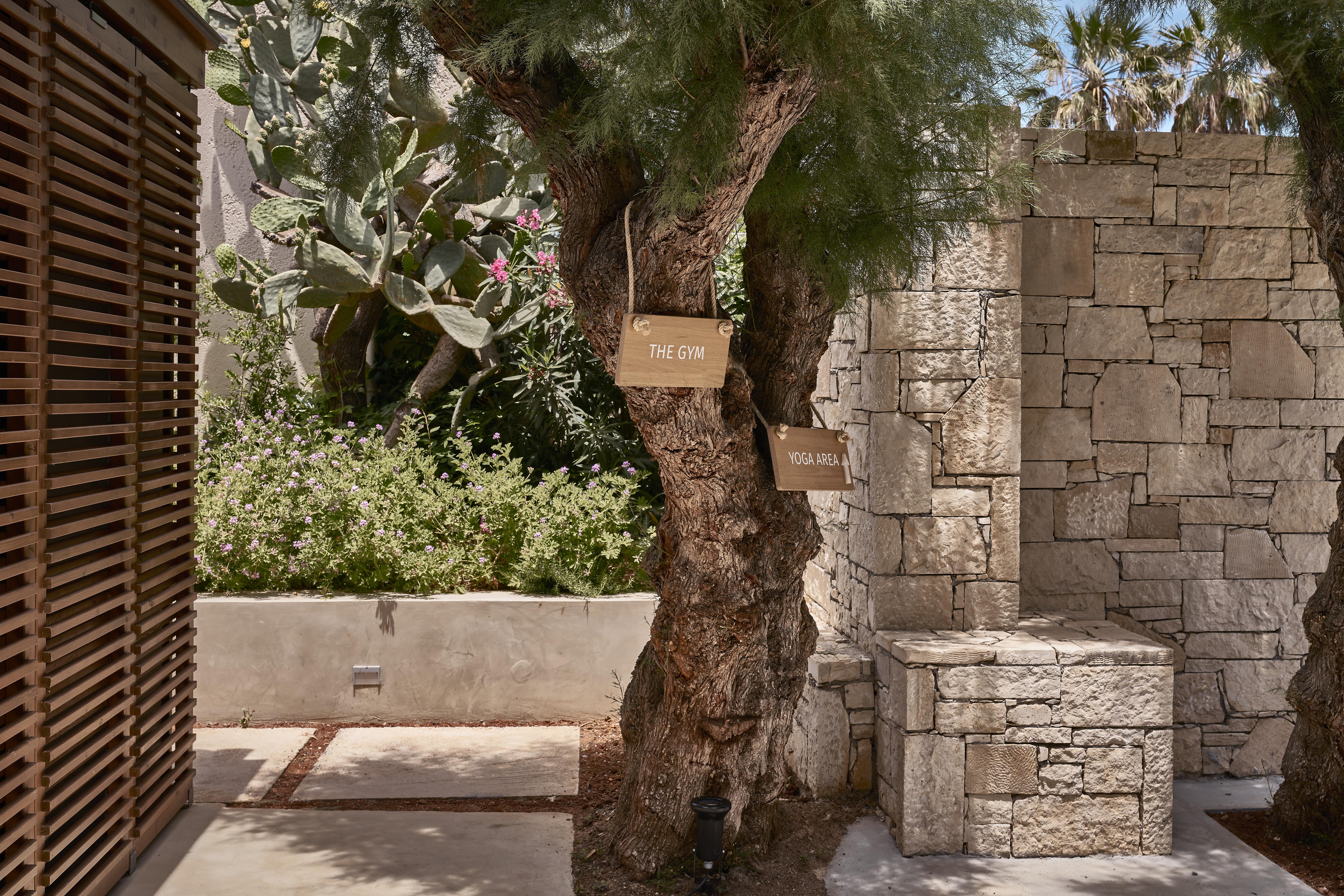 Phaea Cretan Malia, A Member Of Design Hotels Dış mekan fotoğraf